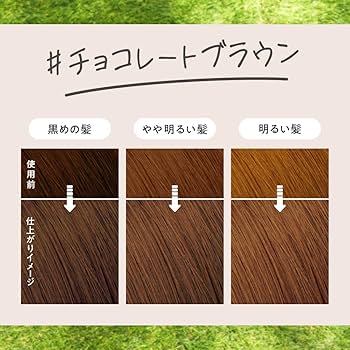 タイムセール　7/27　24時まで カラートリートメント チョコレートブラウン 24点まとめ買い】サロンドプロ ドレッシーカラートリートメント